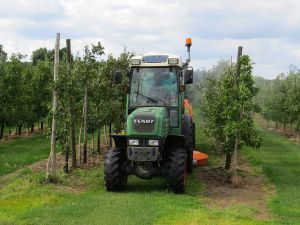 WilgaFruit_045.jpg